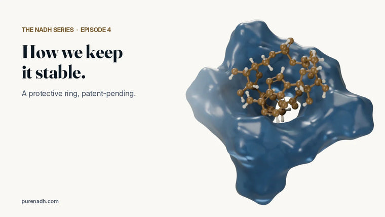 How we keep NADH stable: the molecule inside a cyclodextrin ring, patent-pending