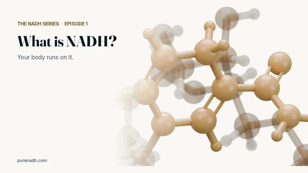 What is NADH? The NADH Series, episode 1