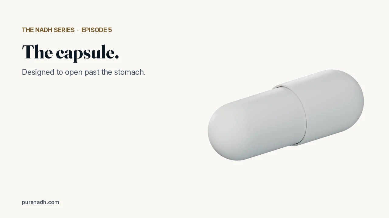 The capsule, designed to open past the stomach. The NADH Series, episode 5